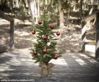 Küçük Noel ağacı